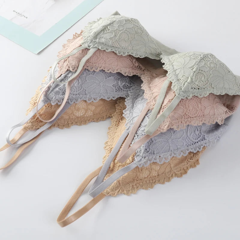Women Bra Set Lace Women's Underwear Sexy Lingerie Set Low Waist Briefs Vneck Embroidery Brassiere Panties Set Female Intimates