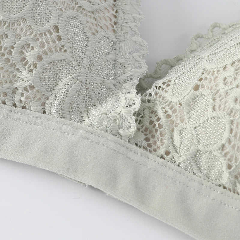 Women Bra Set Lace Women's Underwear Sexy Lingerie Set Low Waist Briefs Vneck Embroidery Brassiere Panties Set Female Intimates