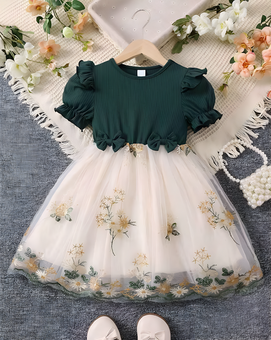 Beautifull Embroidered Fit & Flare Dress For Girls Size 3-4 Years